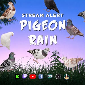 May include: A digital graphic with the words "Stream Alert" and "Pigeon Rain" in white. The image features several pigeons of various colors against a blue and purple sky, with green grass at the bottom.