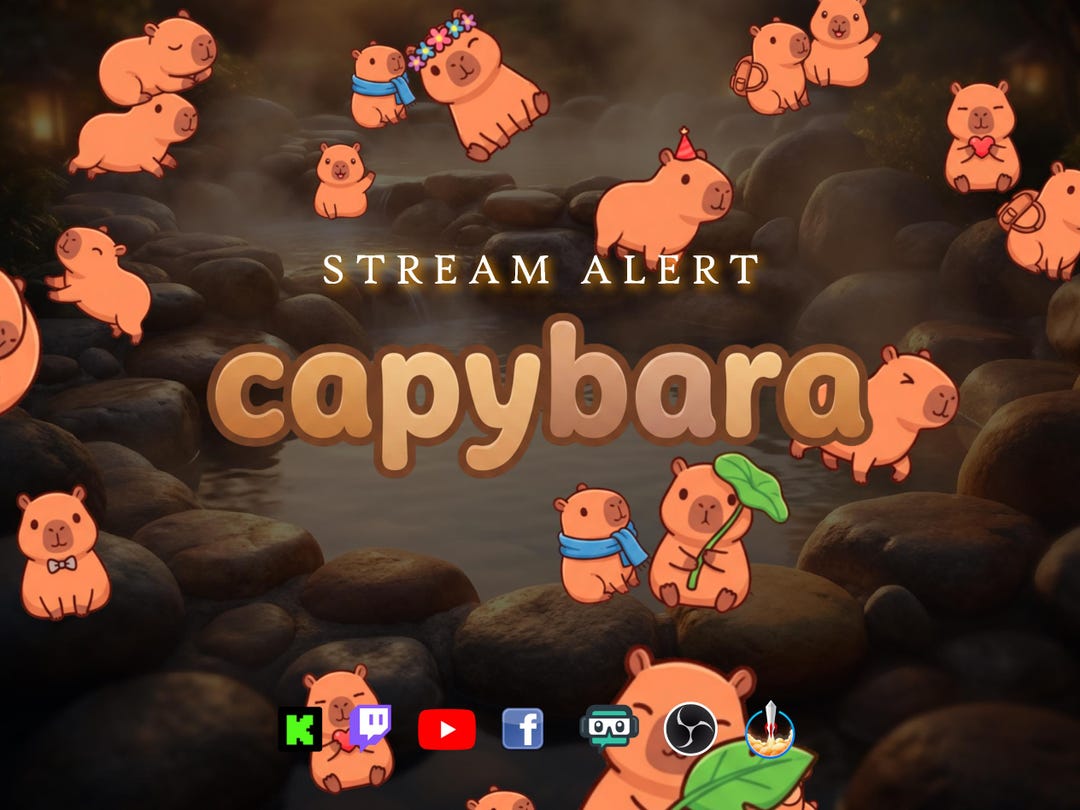 Capybara Rain Stream Alert - Full Screen Animated Overlay With ...
