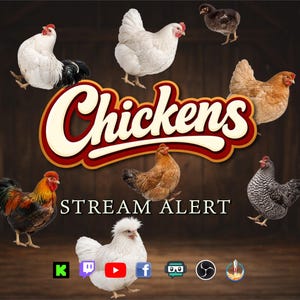 May include: A digital graphic featuring various chickens and roosters against a wooden background. The word "Chickens" is displayed in a stylized font, with "STREAM ALERT" below. Social media icons are at the bottom.