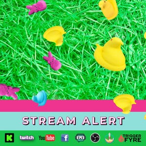 May include: A pink and yellow Easter egg hunt with a variety of pastel-colored marshmallow Peeps in a bed of green grass. The text "STREAM ALERT" is displayed on a pink and blue banner.  The banner also includes icons for Twitch, YouTube, Facebook, and other social media platforms.