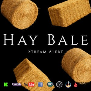 May include: An image with a black background features four hay bales, two round and two rectangular. The text "HAY BALE" is displayed in white, with "STREAM ALERT" below. Social media icons are at the bottom.