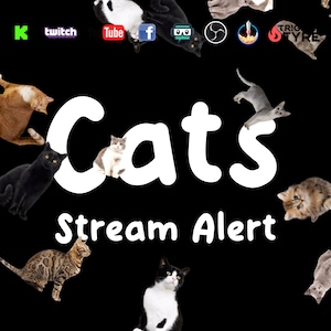 Cats Stream Alert - Full Screen Animated Kitty Shower Overlay w/ Transparent Background - 1920x1080 - Instant Download - Fun Channel Redeem