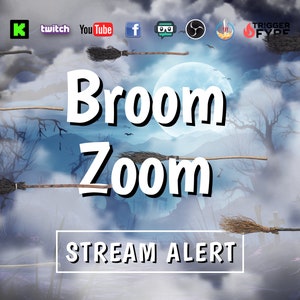 Zoom Broom -  UK