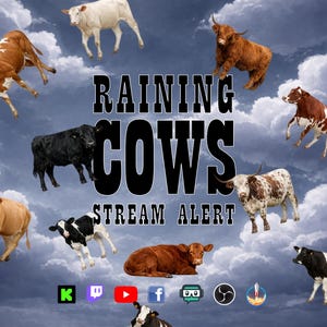 May include: A digital graphic with the text "RAINING COWS STREAM ALERT" against a cloudy sky background. Various breeds of cows are depicted, seemingly falling from the sky. Social media icons are at the bottom.