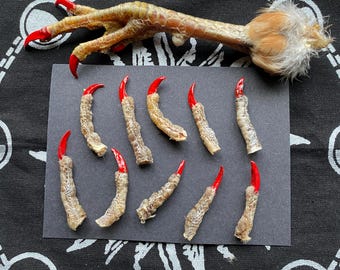 Four Rooster claws jewellery hoodoo voodoo witchcraft occult protection