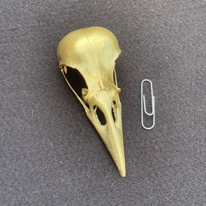 Gold Crow Skull