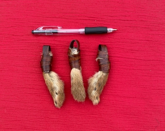 Single Rabbit Foot &quot;Lucky&quot;
