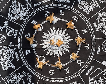 Ten Bone Throwing Casting Collection Animal Bones Fortune