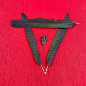 Peut inclure: Deux plumes noires et vertes disposées en forme de triangle sur un fond rouge. Un petit objet brun foncé est centré dans le triangle.