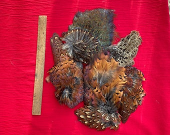 5 Gorgeous Pheasant Feather Patches