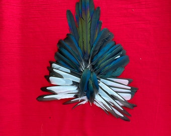 45 Gorgeous Magpie Feathers