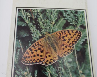 The observers Book of Butterflies Vintage 1973
