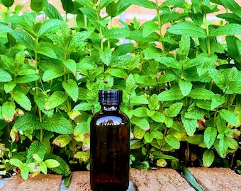 Spearmint Extract