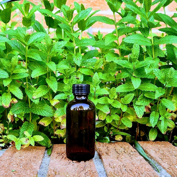 Spearmint Extract