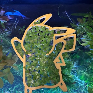 Popular Floating Fish Feeding Ring for Aquarium | Reduces Waste | Perfect for Planted Tanks