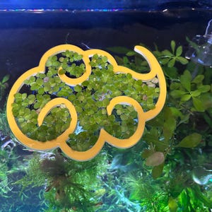 水槽用人気の浮遊式給餌クラウドリング | 無駄を削減 | 水草水槽に最適