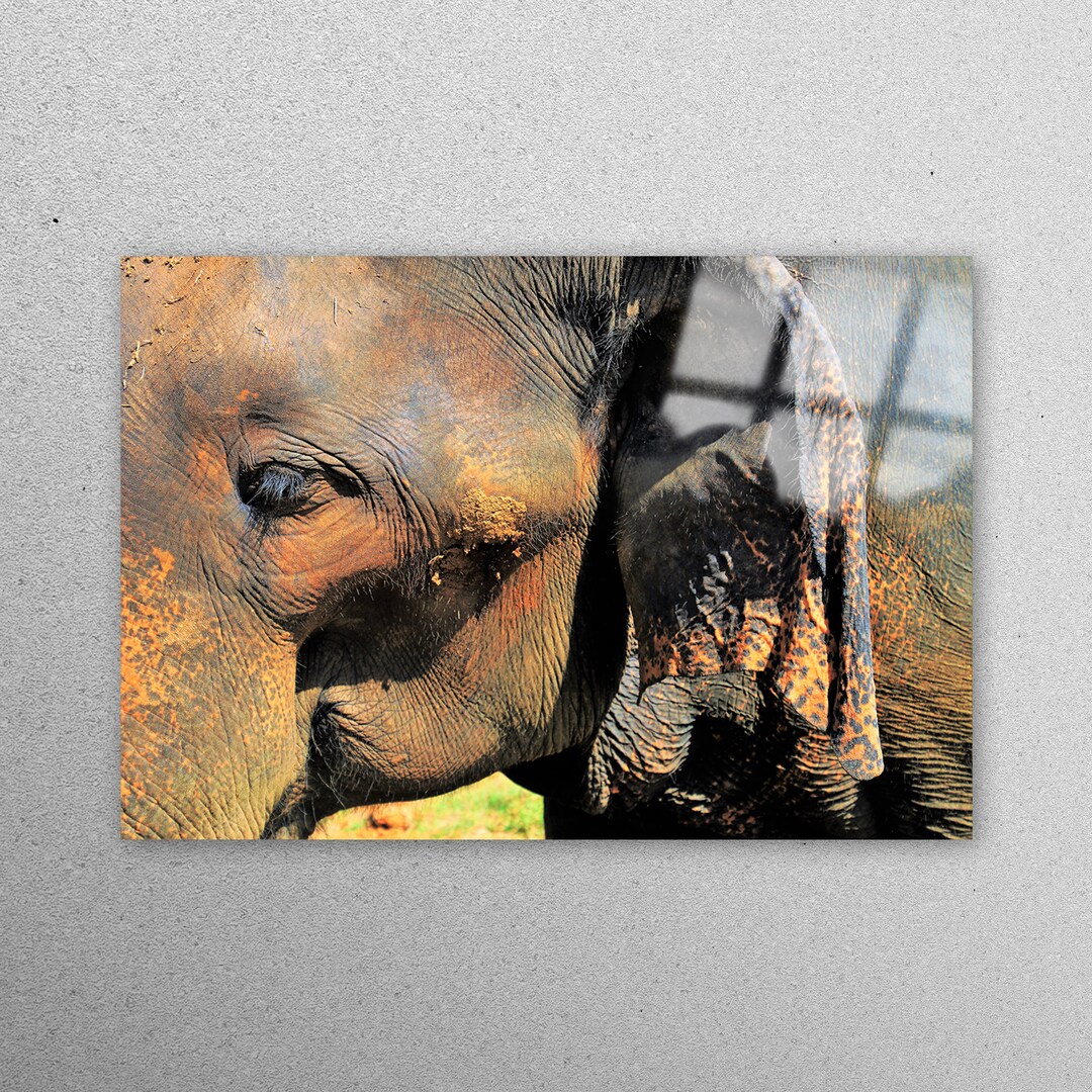Glass Tempered Glass Mural Art Elephant Glass Art African Etsy
