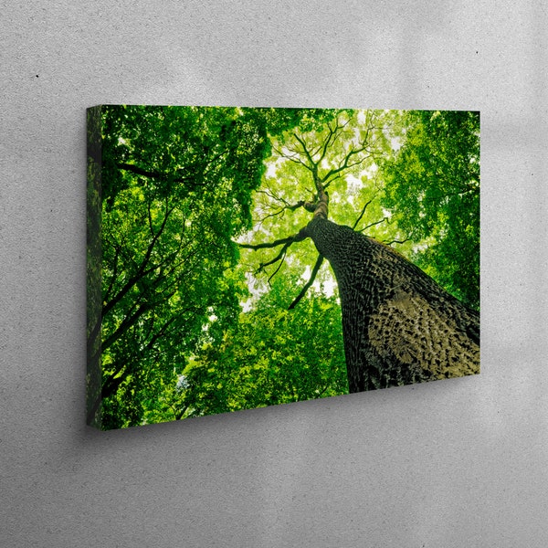 Large Tree Art Etsy
