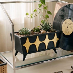 Mid Century Modern Credenza Planter Succulent Cactus Plants MCM Midmod Home Office Kitchen Decor 1950s 60s Atomic Era Gift House Warming