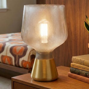 May include: A modern table lamp with a textured glass shade and a brass base. The lamp is turned on, illuminating the interior. The lamp sits on a wooden nightstand next to a small potted plant and a stack of books.