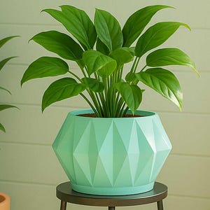 Astrelle Space Age Retro Minimalist Planter Inspired Plants Mid Century Modern Succulents and Cactus Indoor & Outdoor Use Made in USA