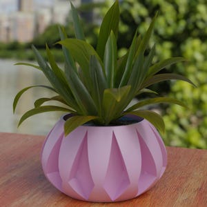 May include: A potted plant with long, green leaves sits in a light pink, geometric-patterned pot. The pot is round with a series of vertical, diamond-shaped indentations. The plant and pot are on a wooden surface, with a blurred outdoor background.