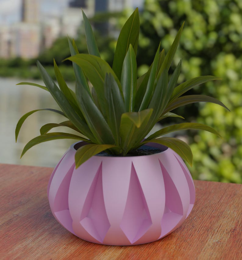 May include: A potted plant with long, green leaves sits in a light pink, geometric-patterned pot. The pot is round with a series of vertical, diamond-shaped indentations. The plant and pot are on a wooden surface, with a blurred outdoor background.
