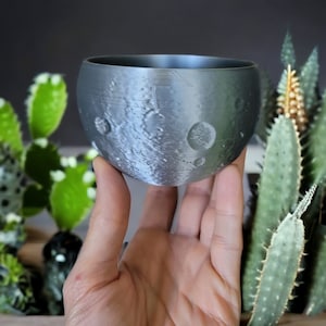 May include: A gray, spherical planter with a textured surface resembling the moon's surface, complete with craters. The planter is held in a hand, with various cacti and succulents in the background. The planter is designed for small plants.