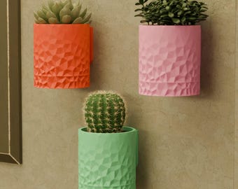 Space Age MId Century Modern Vexel Wall Planter Succulents Cactus Plant Holder Retro Style Futuristic Home Decor Office Kitchen MIdMod MCM