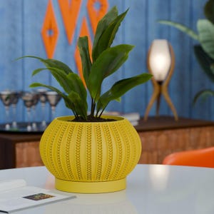 The Zyric Space Age Mid Century Modern Planter Pot with Vintage Style for Plants Cactus Succulents Indoor & Outdoors, Made in USA MCM MidMod
