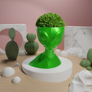 May include: A green alien-shaped planter with a leafy green plant growing inside. The planter is sitting on a white pedestal on a sandy surface.