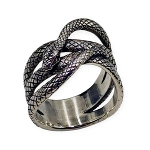 Può includere: Un anello d'argento con un design di due serpenti intrecciati. I serpenti sono dettagliati con squame e un serpente ha una testa con la bocca aperta.