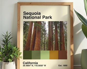 Sequoia National Park Poster | Mid Century Modern California Trees Print (Digital Download)