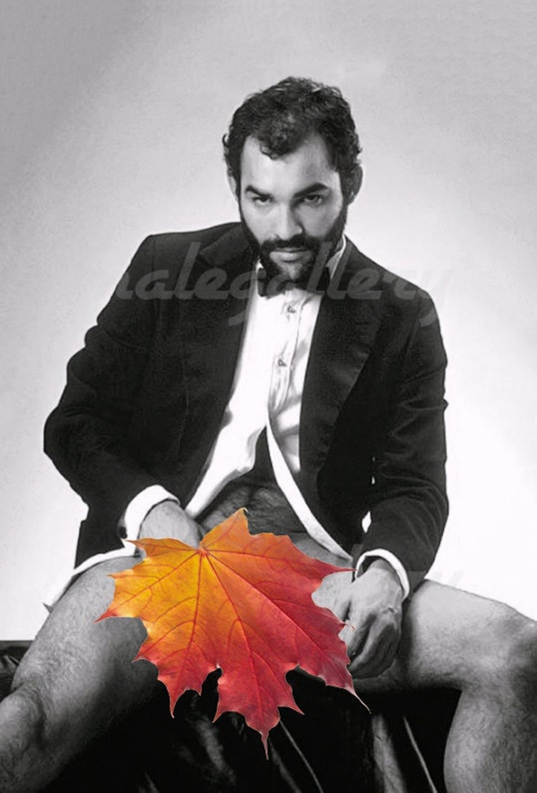 Photo of Naked Hairy Man Frontal Portrait 1980s Print A8211 - Etsy