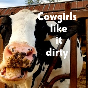 Cowgirls like it dirty..