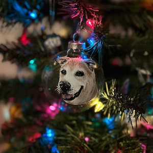 Custom Hand-Painted Christmas Ornaments of Pets, Hand-painted Pet Christmas Bauble, Personalized Hand-Painted Ornament Of Pets, Pet Ornament