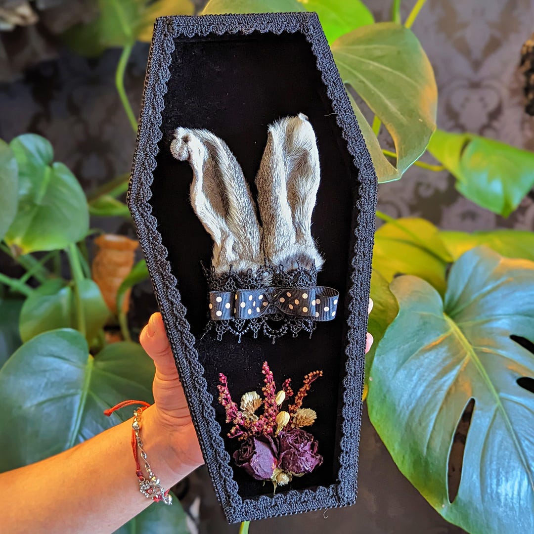 Bunny Ears in Large Coffin, Rabbit Ears Decor, Gothic Decor, Creepy ...