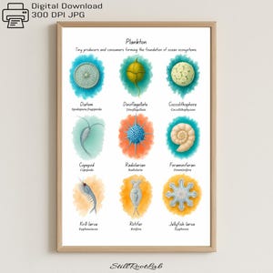 Plankton Poster | Ocean Microorganisms Wall Art | Educational Science Print for Classroom or Home Office (digital download)