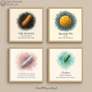May include: Four framed art prints showcasing watercolour illustrations of diseases: The Plague, Spanish Flu, Tuberculosis, and Cholera. Each print includes the disease name, scientific name, and historical context. The prints are in neutral-toned frames.