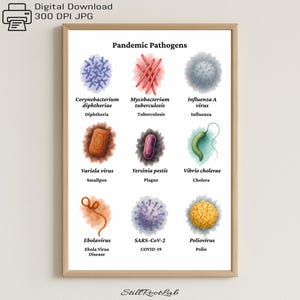 May include: A framed print displaying watercolour illustrations of various pathogens, including viruses and bacteria. The print is titled "Pandemic Pathogens" and lists each pathogen's name, such as Ebola virus, and the diseases they cause, like Cholera.