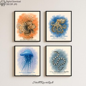 Könnte beinhalten: Vier gerahmte Kunstdrucke mit Illustrationen von Meereslebewesen. Die Drucke zeigen einen Rotfeuerfisch, einen Blaugeringelten Oktopus, eine Portugiesische Galeere und eine Blassgebänderte Seeschlange. Jeder Druck enthält den Namen des Tieres und seinen Lebensraum.