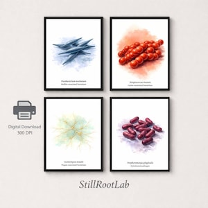 Oral Bacteria Poster Set – Dental Pathogens & Biofilm Microbiology (Watercolor Scientific Art, Digital Download)