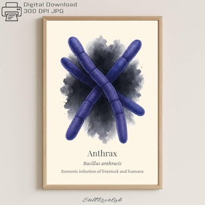 May include: A framed print with a watercolour illustration of Anthrax, showing blue rod-shaped bacteria against a dark grey background. The print includes the text "Anthrax", "Bacillus anthracis", and "Zoonotic infection of livestock and humans".