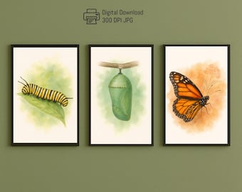 Monarch Butterfly Life Cycle Watercolor Prints: Educational Nature Art (Digital Download