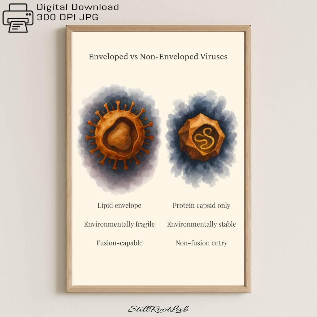 Enveloped Vs Non-enveloped Viruses | Scientific Virology Poster Set ...
