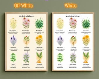 Plakat z roślinami leczniczymi – akwarelowa sztuka ścienna z motywem botanicznym – do pobrania w wersji cyfrowej