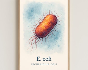 E. coli Watercolor Printable Art – Scientific Microbiology Wall Decor – Educational Biology Illustration – Digital Download