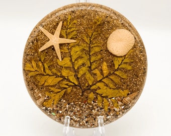 Lucite Beach Trivet - Sand Seashells Starfish, Round Footed, Design Gifts International, Kitchen Dining Servewear, Sandscape Ocean