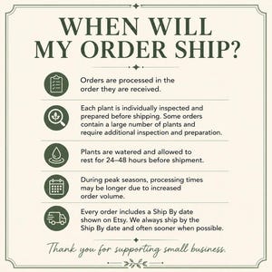 May include: An informational graphic with the title WHEN WILL MY ORDER SHIP? in dark green text on a cream background. It features five circular icons representing order processing, plant inspection, watering, seasonal volume, and shipping dates.