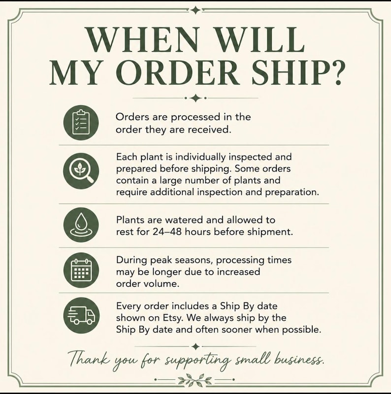 May include: An informational graphic with the title WHEN WILL MY ORDER SHIP? in dark green text on a cream background. It features five circular icons representing order processing, plant inspection, watering, seasonal volume, and shipping dates.